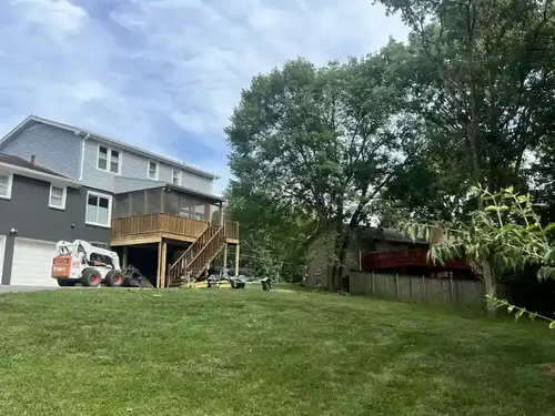 Ongoing tree maintenance and cleanup