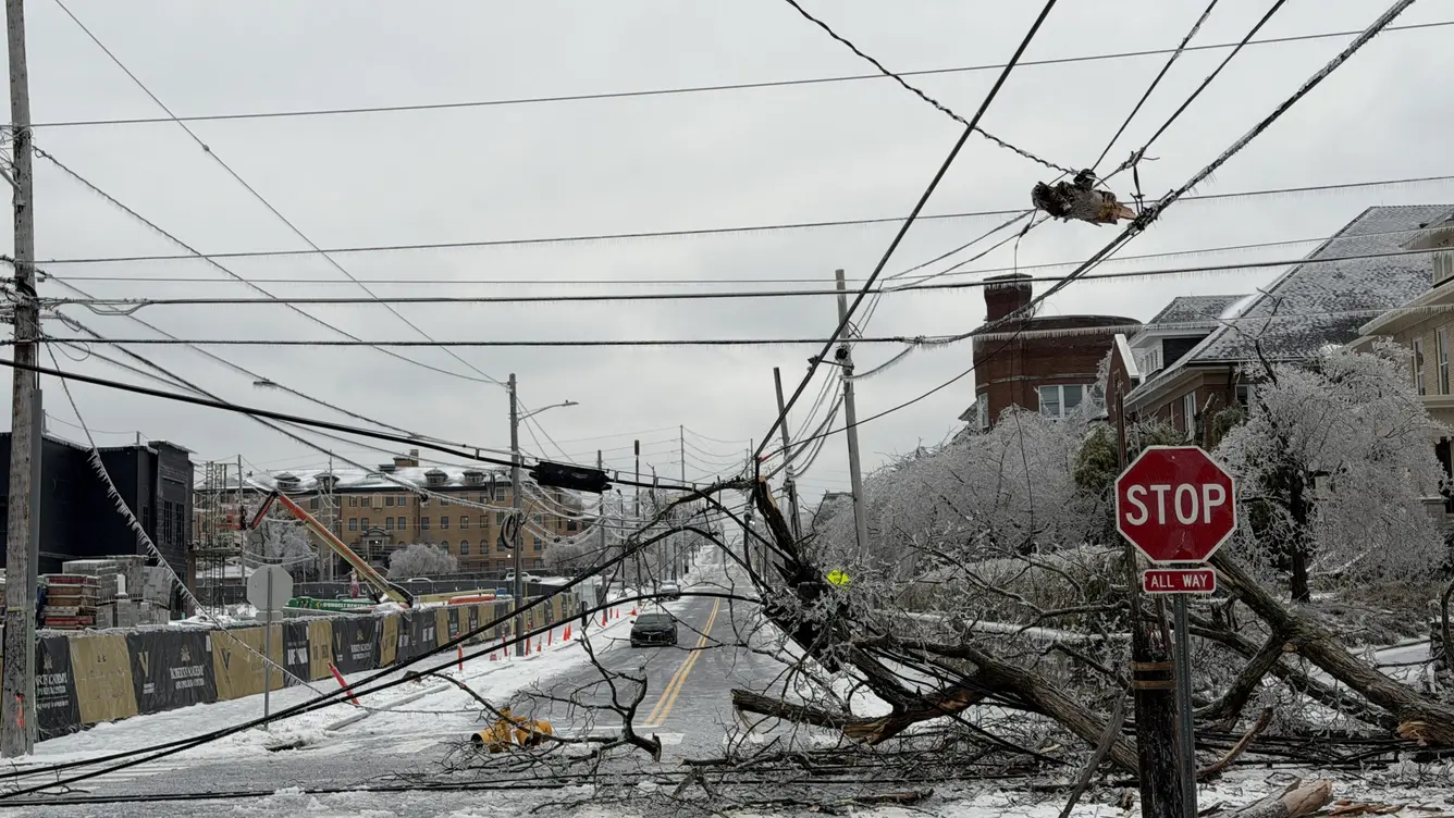 Downed tree and tangled power lines blocking a Nashville street with a stop sign after Winter Storm Fern