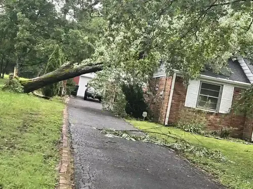 Emergency tree services in Nashville