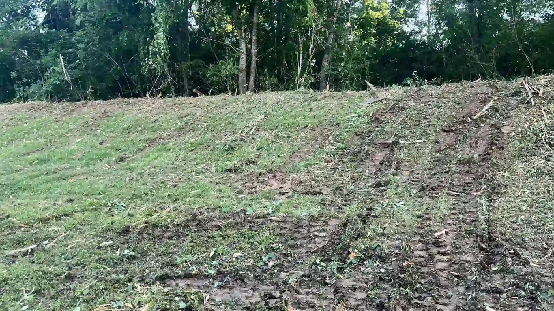 Professional land clearing service