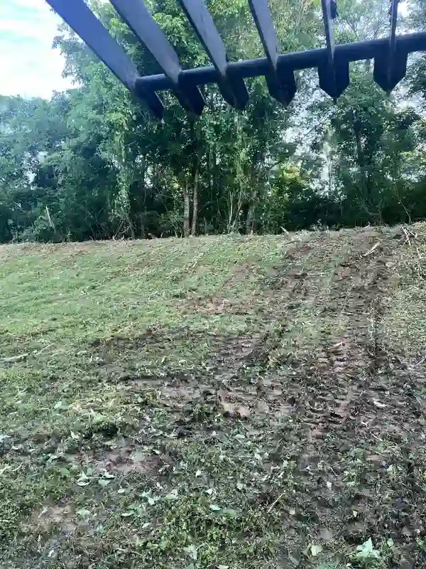 Professional land clearing service