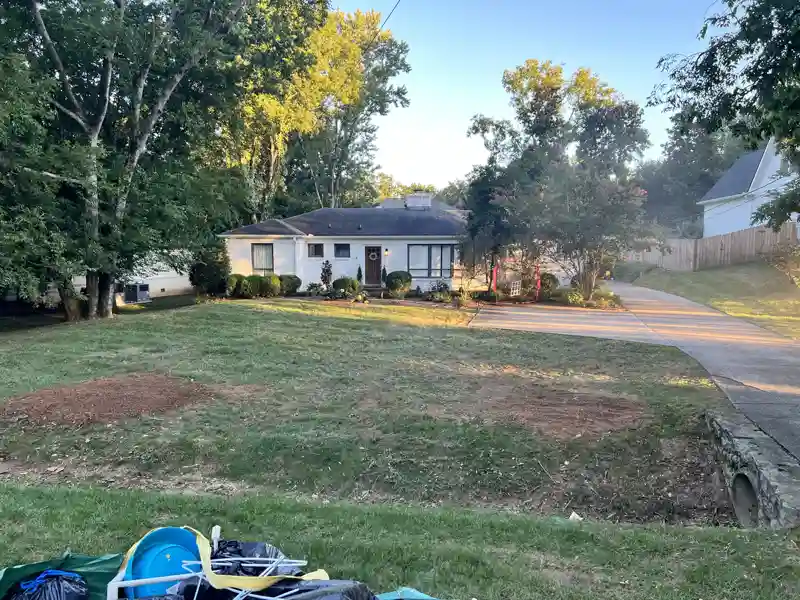 Land clearing service