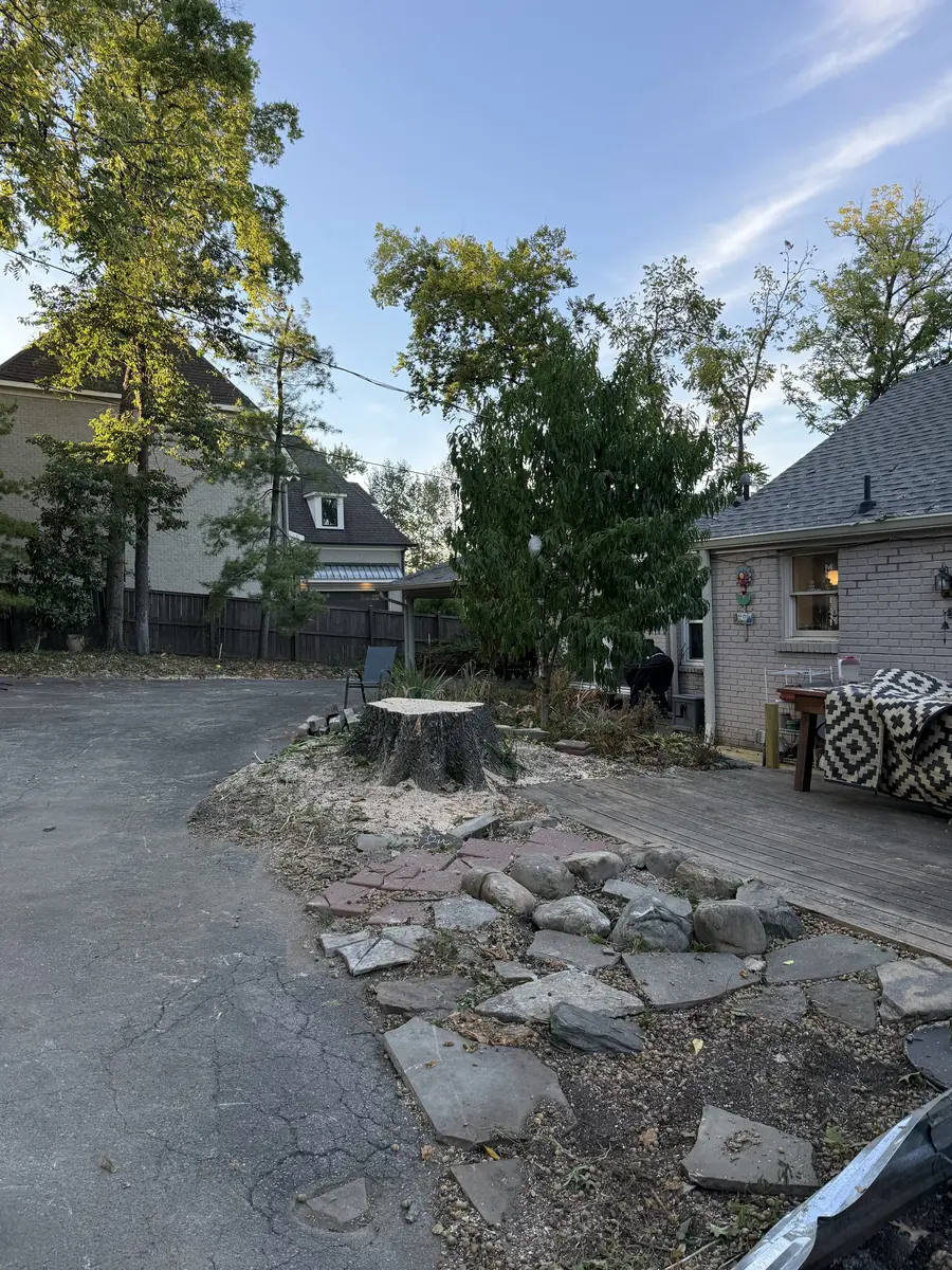 Backyard in Green Hills after a large oak removal, with the flat-cut stump left as a table