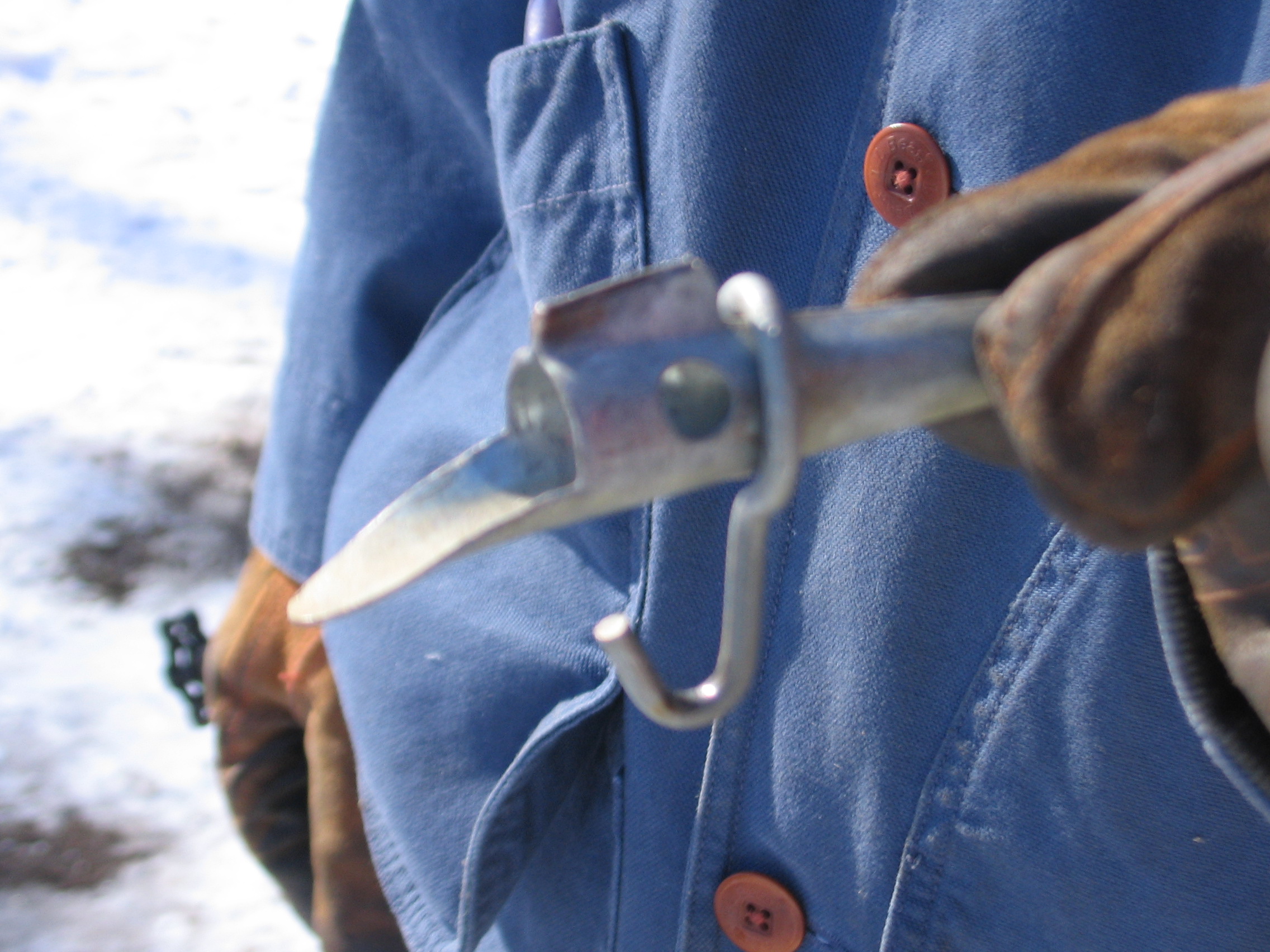 Modern spile tapping a sugar maple tree for sap collection during maple syrup season